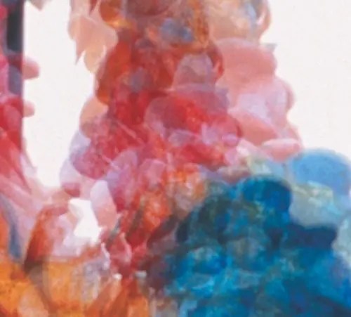 Dungen- Skit I Allt (Cd) 1