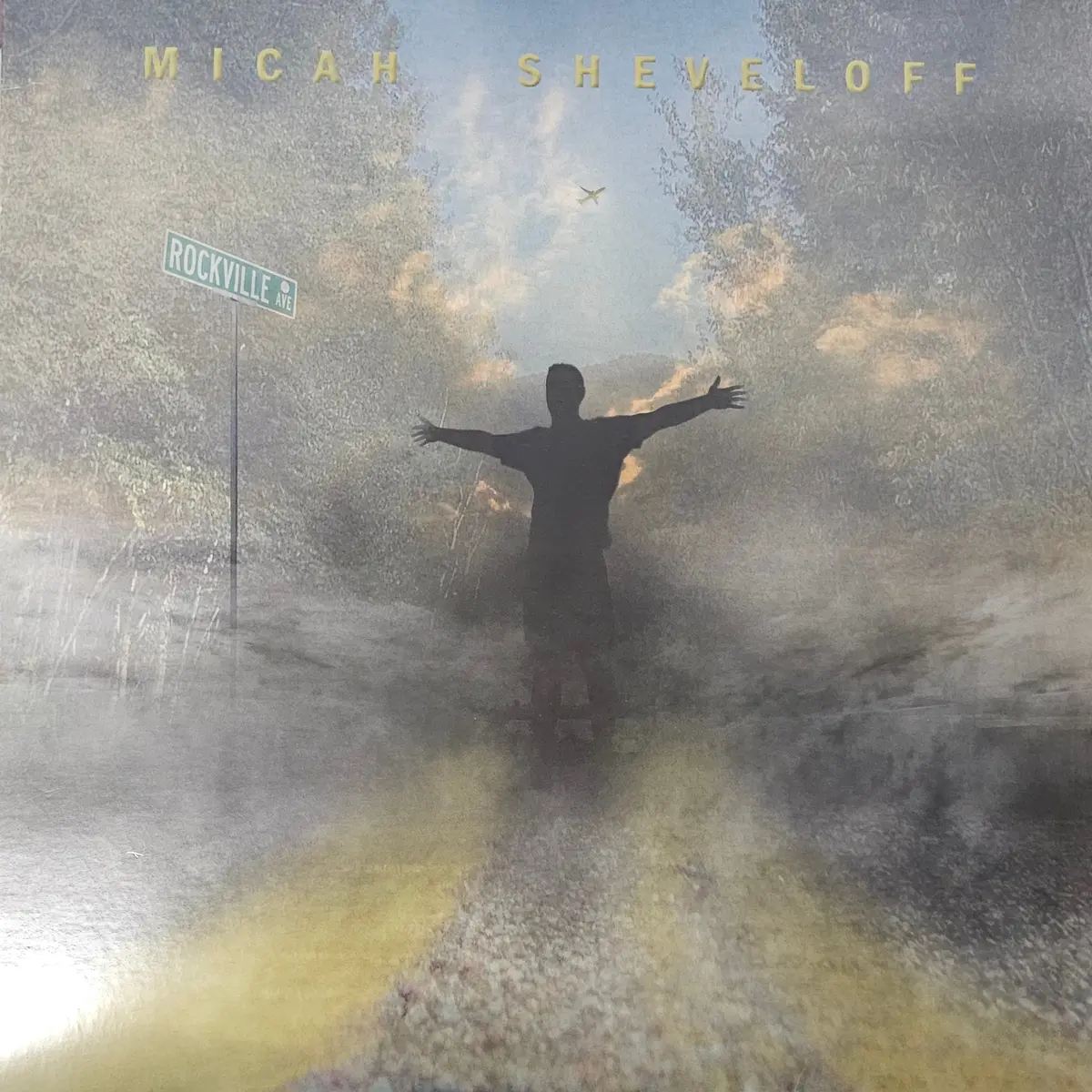 Michah Sheveloff- Rockville (Numbered)(Bottom Seam Split) 1