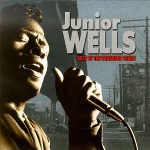 Junior Wells- Best Of Vanguard Years (Cd) 1