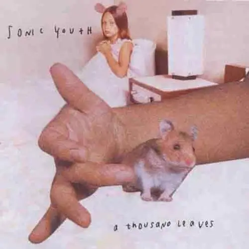 Sonic Youth- Thousand Leaves (Cd) 1
