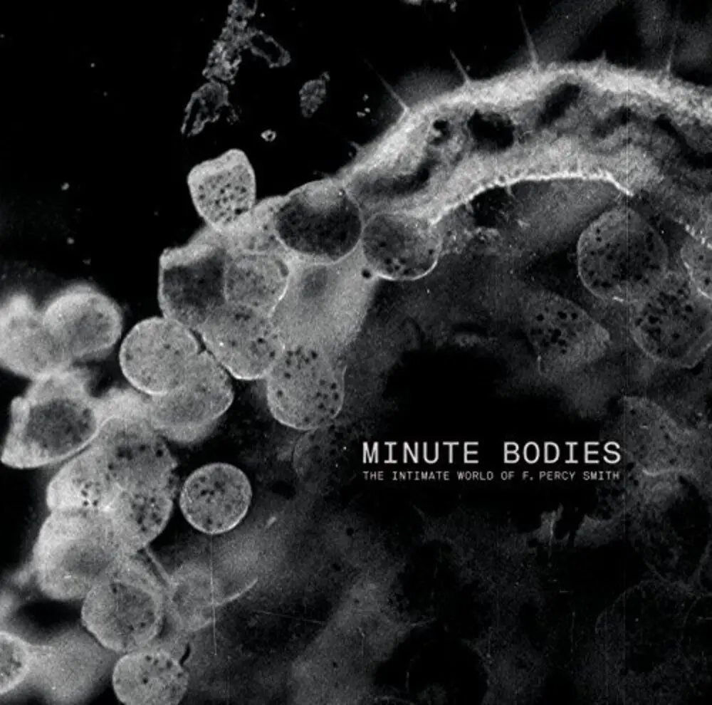 Tindersticks- Minute Bodies: Intimate World Of F. Percy Smith (Cd) 1