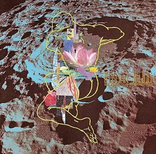 Susumu Hirasawa- Virtual Rabbit (Cd) 1