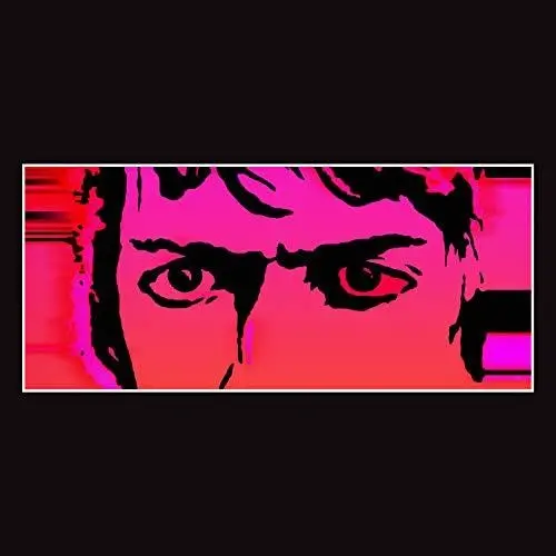 Delicate Steve- Till I Burn Up (Cd) 1