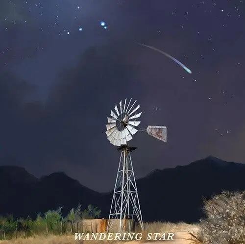 Flatland Cavalry- Wandering Star (Cd) 1
