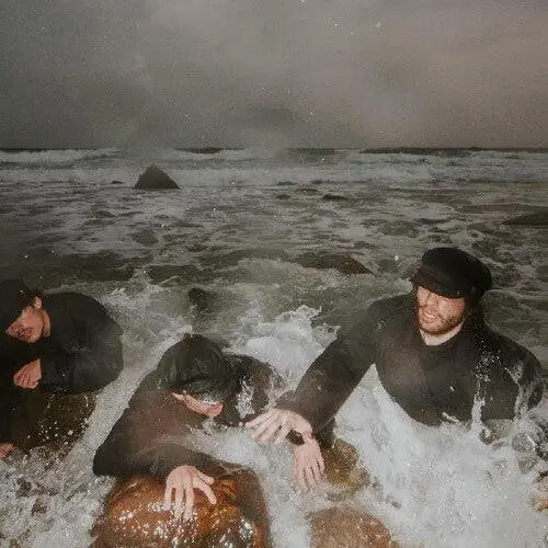 The Pons- The Liquid Self 1