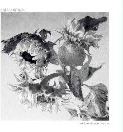 And Also The Trees- Mother-Of-Pearl Moon (Cd) 1