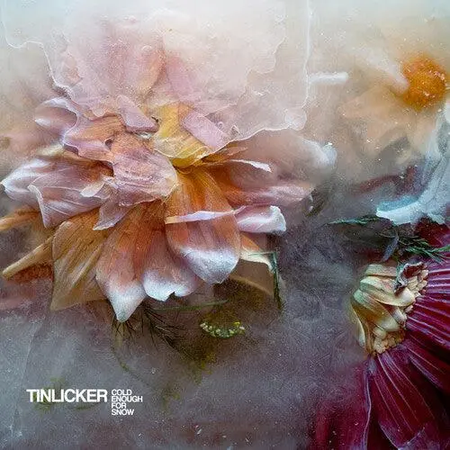Tinlicker- Cold Enough For Snow (Cd) 1
