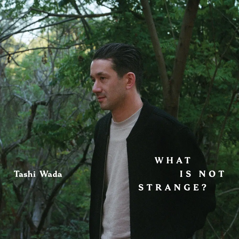 Tashi Wada- What Is Not Strange 1