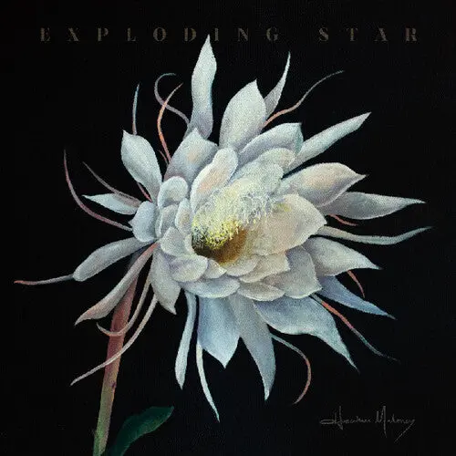 Heather Maloney- Exploding Star 1