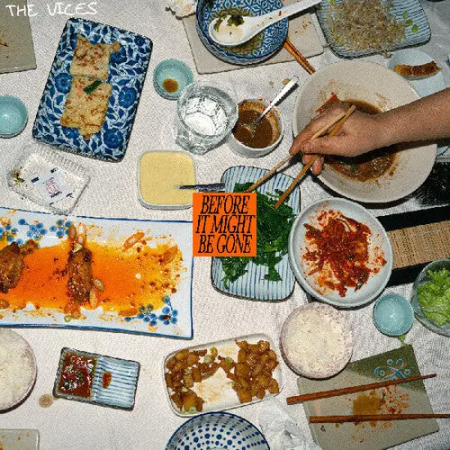 Vices- Before It Might Be Gone (Cd) 1