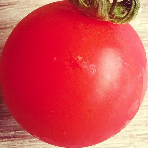 Pomodorosa- Pomodorosa 1