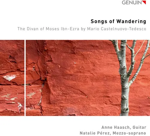 Anne Haasch- Songs Of Wandering (Cd) 1