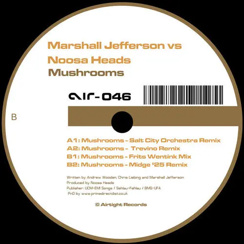 Mushrooms (2025 Remixes) 1