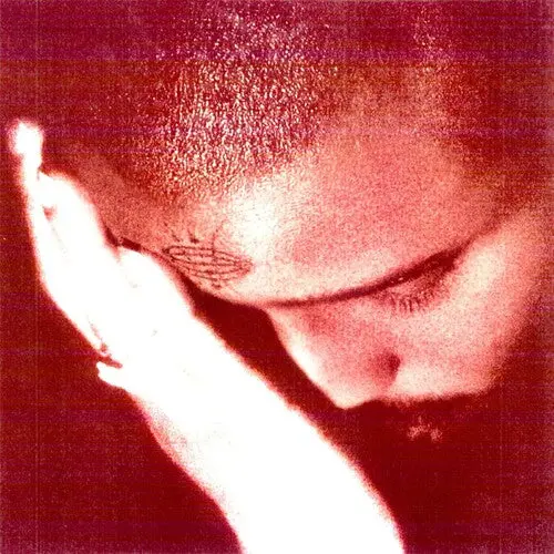 Nourished By Time- The Passionate Ones (Cd) 1