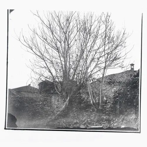 Siavash Amini- Caligo (Cd) 1