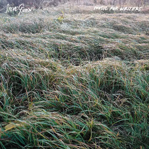 Steve Gunn- Music For Writers 1