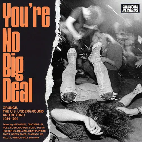 You're No Big Deal: Grunge, The U.S. Underground & Beyond 1984-1994 / Various (Cd) 1