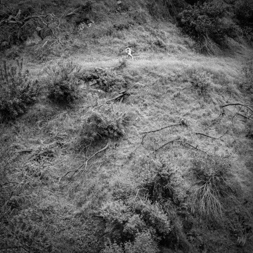 Anna Tivel- Animal Poem 1