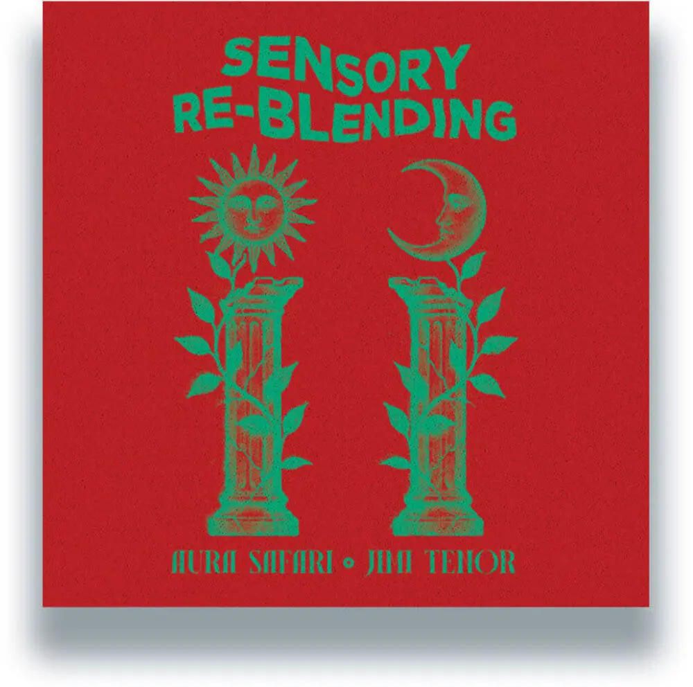 Aura Safari- Sensory Re-Blending 1