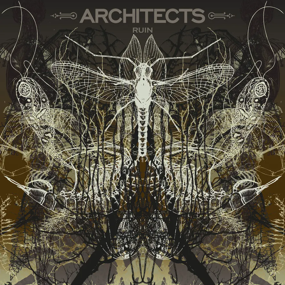 Architects- Ruin [Limited Edition] (Pict) 1