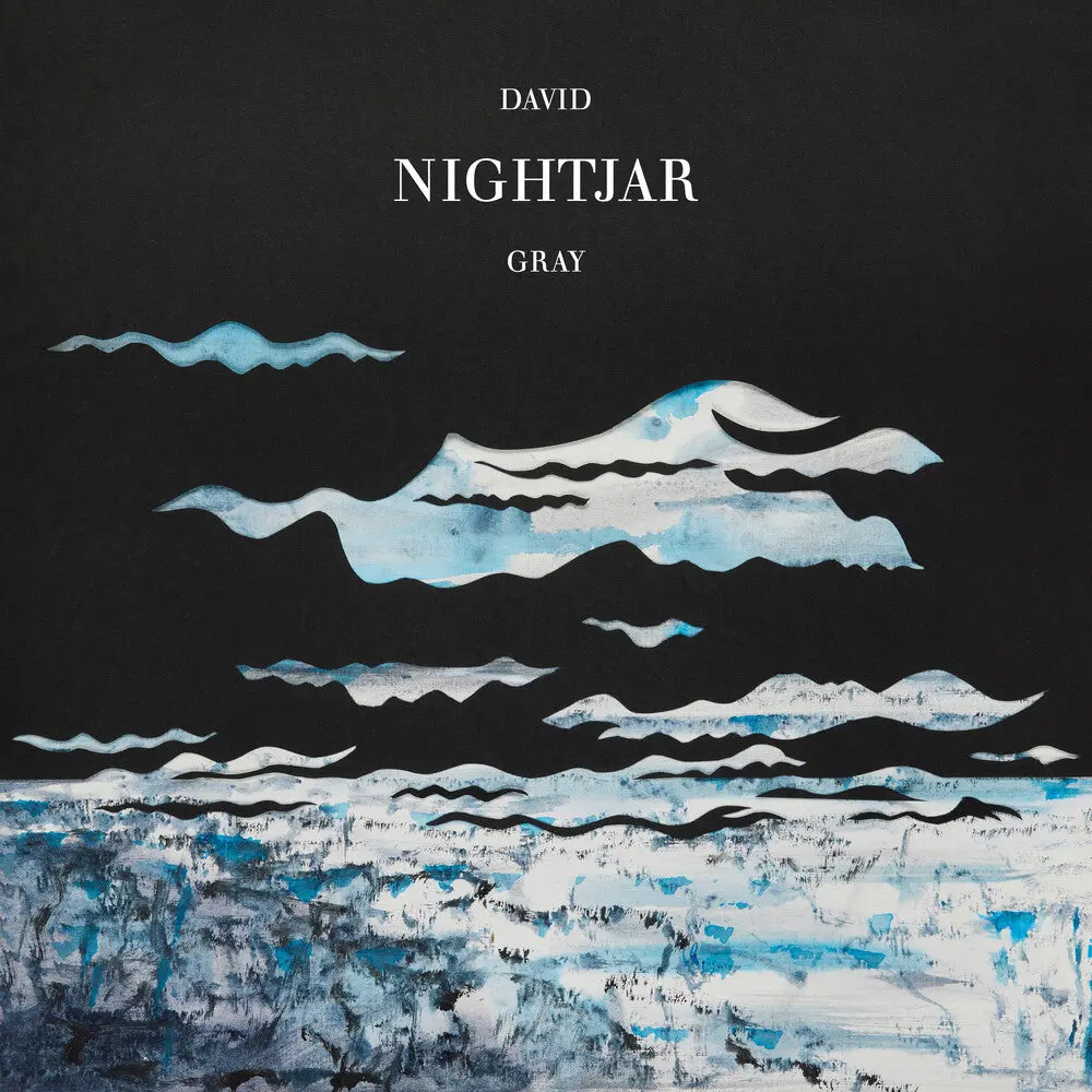 David Gray- Nightjar 1
