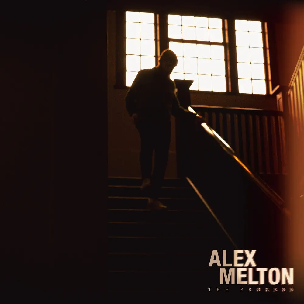 Alex Melton- The Process [Tigers Eye Marble] 1