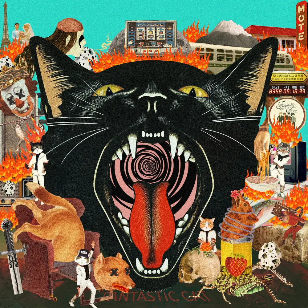 Fantastic Cat- Cat Out Of Hell 1