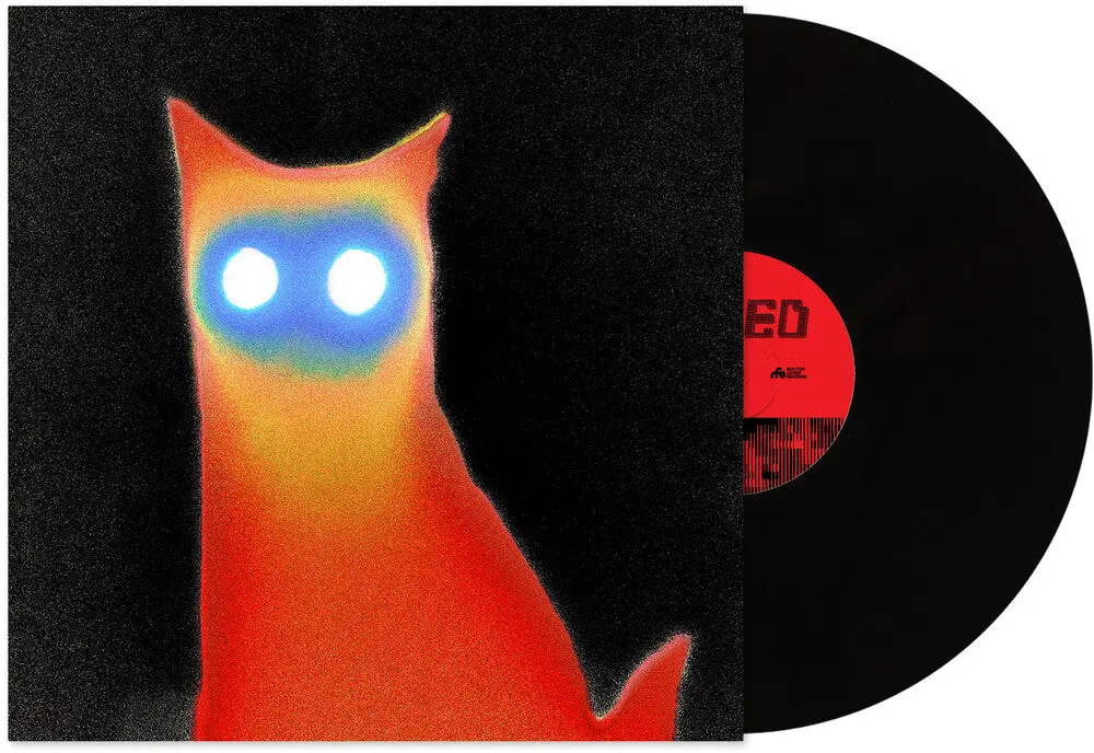 Basement- Wired (Preorder) 1