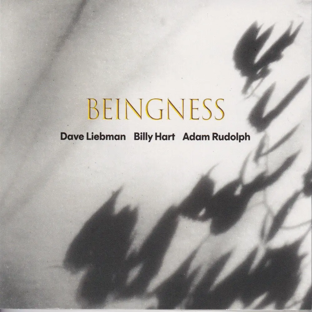 Dave Leibman  / Hart,Billy / Rudolph,Adam- Beingness [Colored Vinyl] [Limited Edition] [180 Gram] (Preorder) 1