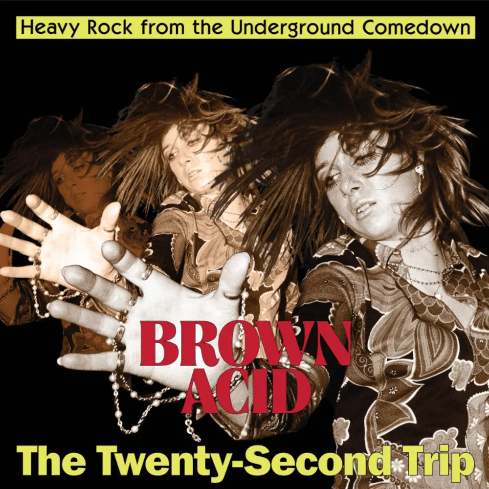 Brown Acid - Twenty-Second Trip / Various- Brown Acid - Twenty-Second Trip / Various (Preorder) 1