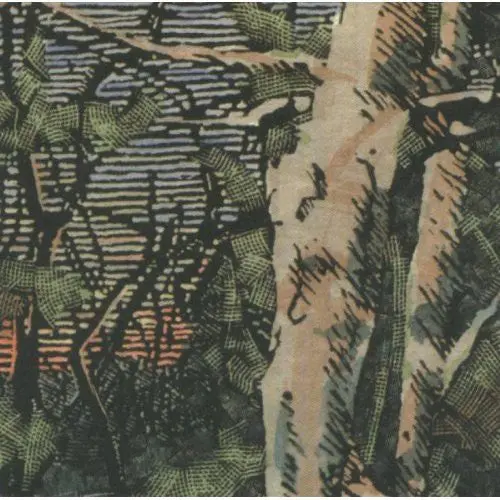 Anomoanon- Asleep Many Years In The Wood (Cd) 1