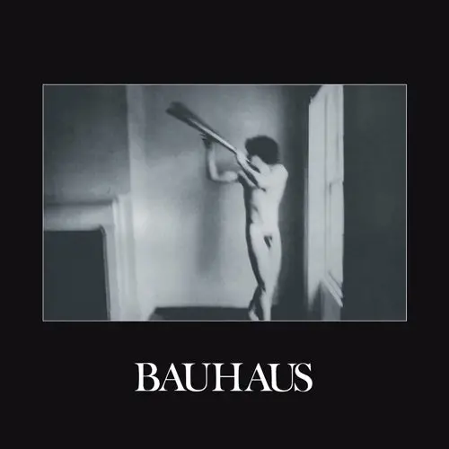Bauhaus- In The Flat Field (Cd) 1