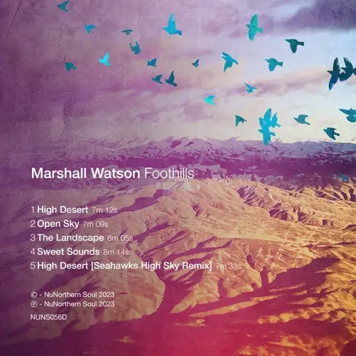 Marshall Watson- Foothills 1