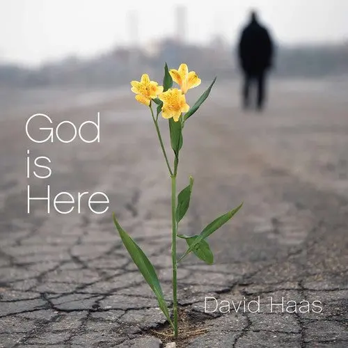 David Haas- God Is Here (Cd) 1