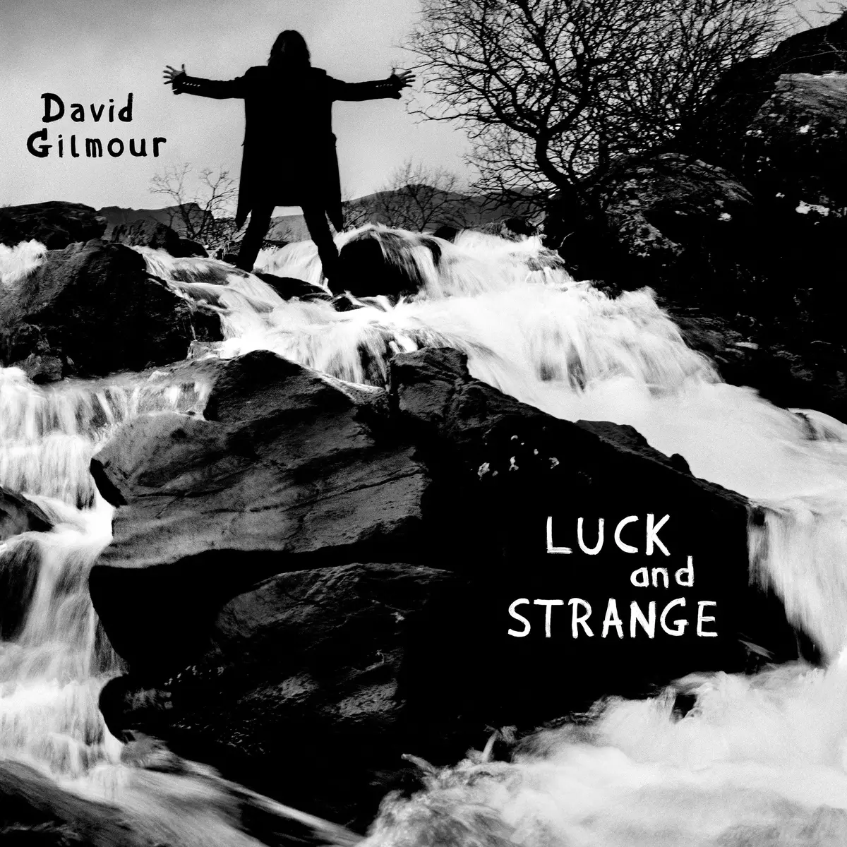 David Gilmour- Luck And Strange (Cd) 1