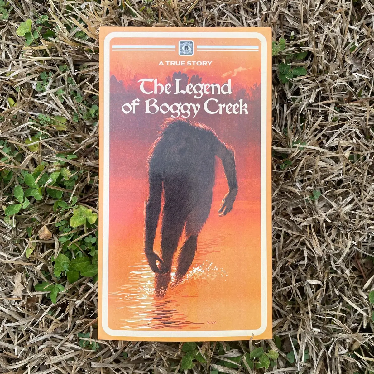 Legend Of Boggy Creek (Terror Vision Vhs) 1