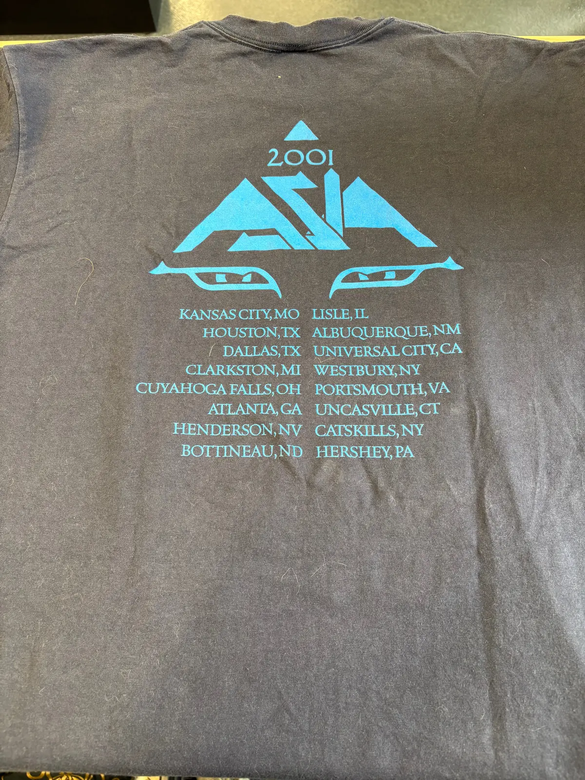 2001 Asia Tour T-Shirt, Black, Xl 2