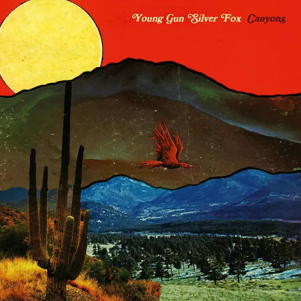Young Gun Silver Fox- 870 1