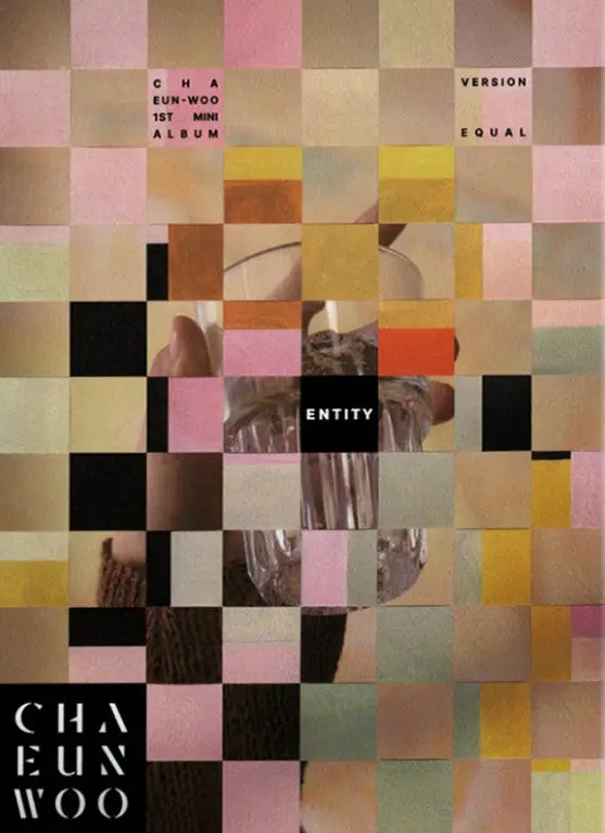 Cha Eun Woo- Entity - Equal Version - Random Cover - Incl. Photobook Set, Folding Poster, Photocard Set, Sticker, Diy Entity, Accordion Lyric Paper + Mini-Poster Set (Cd) 1