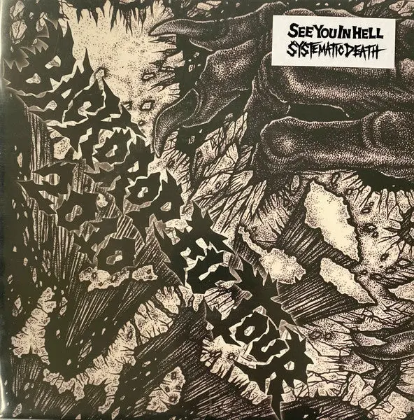 See You In Hell/Systemic Death- Backdrop Eu Tour 2010 1