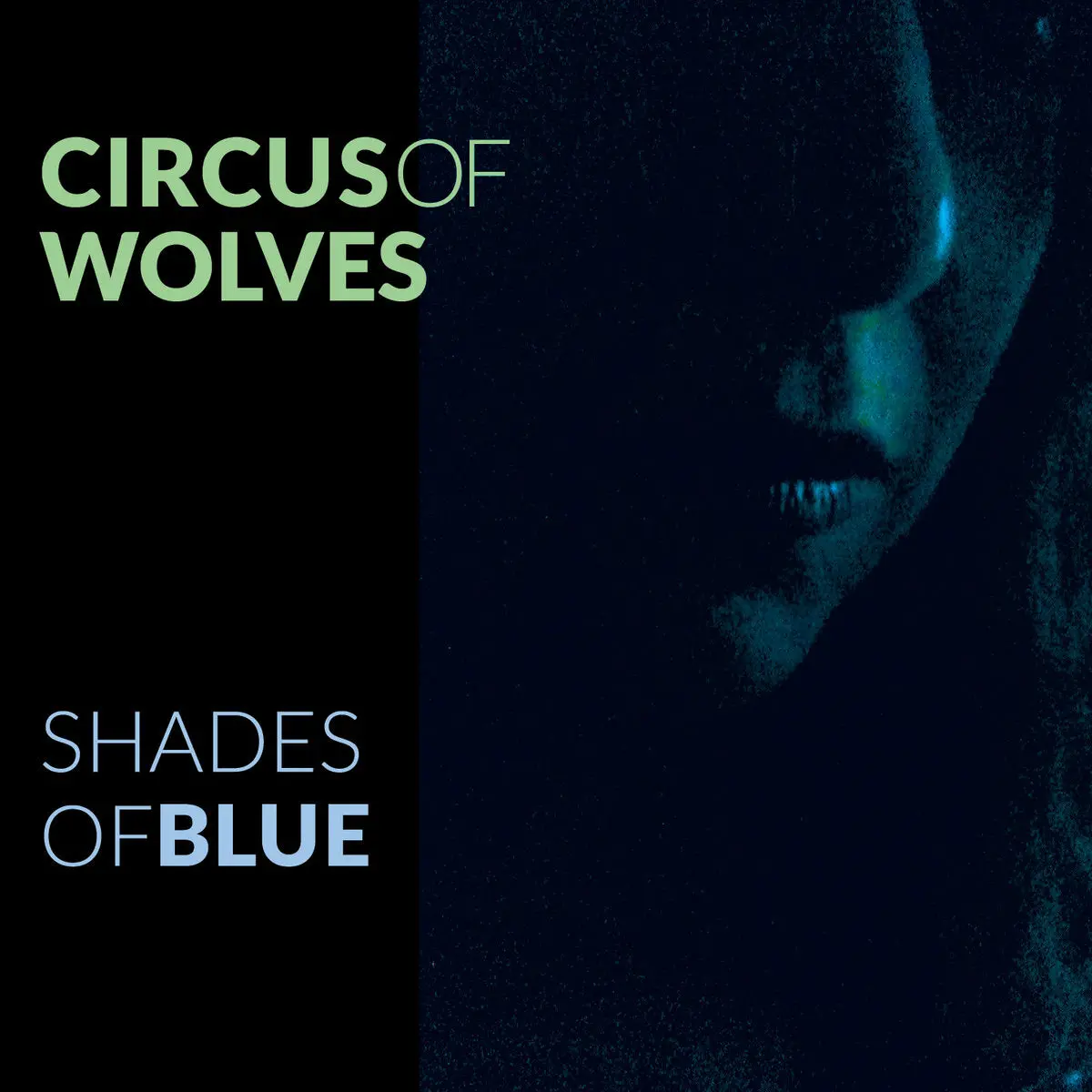 Circus Of Wolves- Shades Of Blue 1