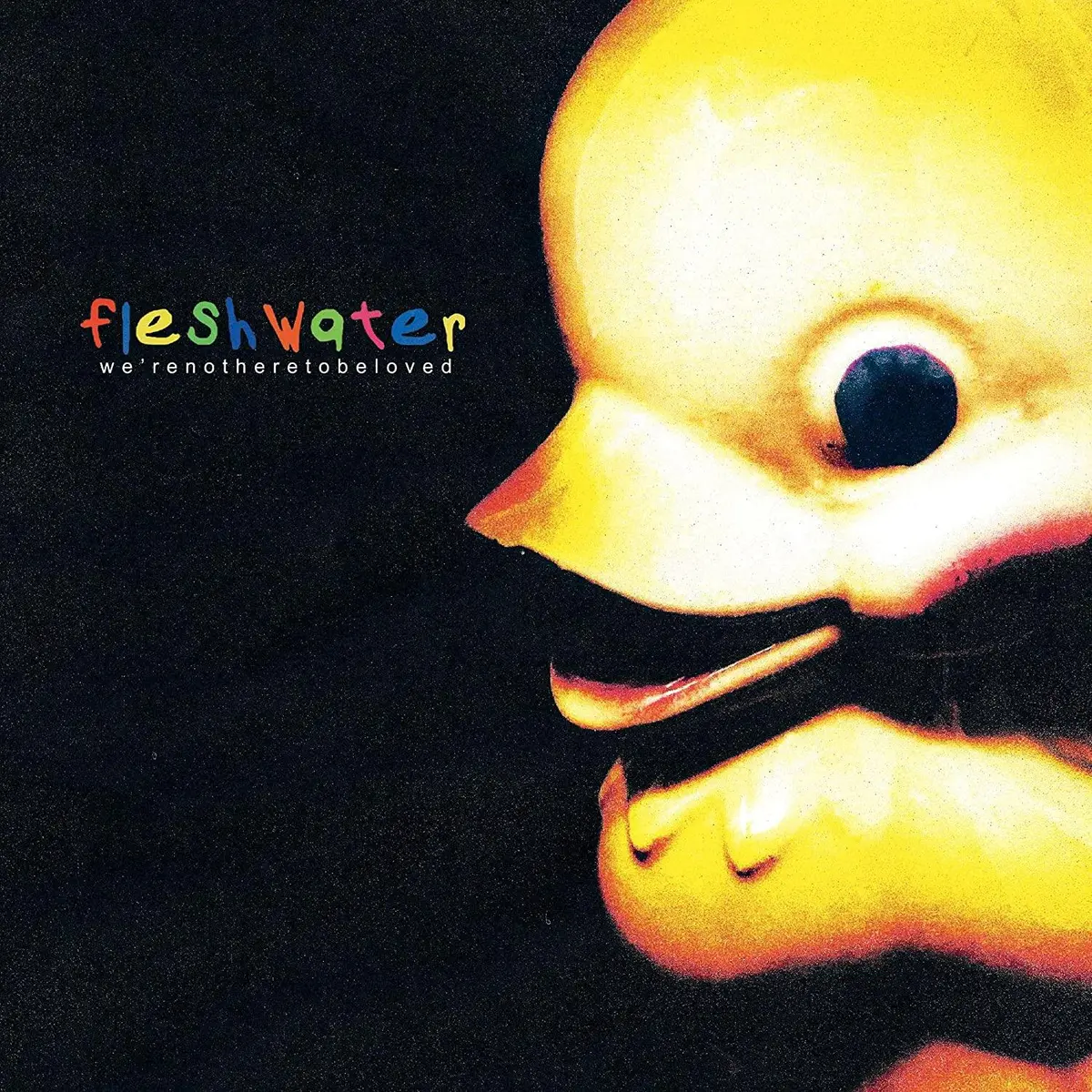 Fleshwater (Vein)- We're Not Here To Be Loved (Cd) 1