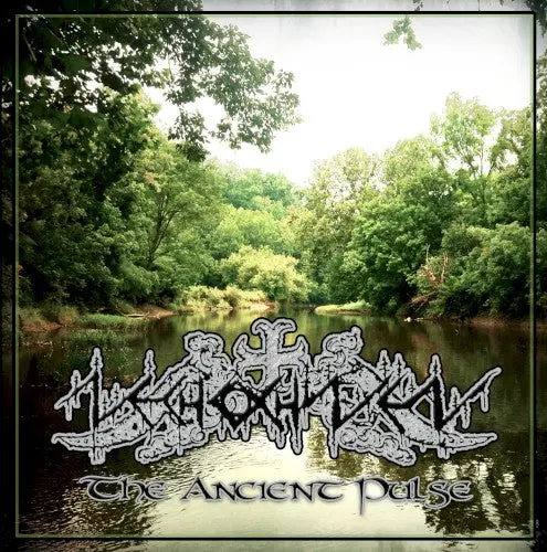 Nechochwen- The Ancient Pulse (Cd) 1