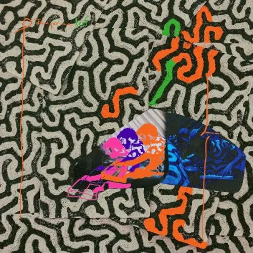 Animal Collective- Tangerine Reef (Cd) 1