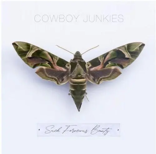 Cowboy Junkies- Such Ferocious Beauty (Cd) 1