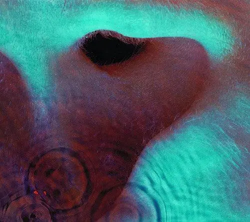 Pink Floyd- Meddle (Cd) 1