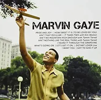 Marvin Gaye- Icon 1