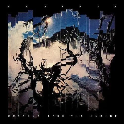 Bauhaus- Burning From The Inside (Cd) 1